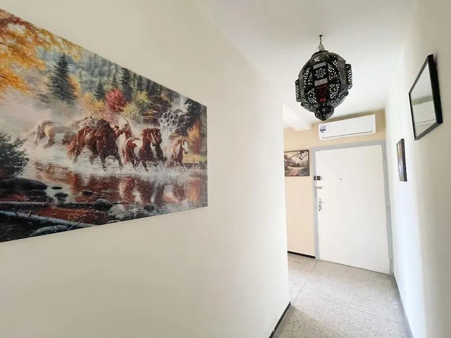 Cosy Hyper Central Typical Home 阿加迪尔 摩洛哥
